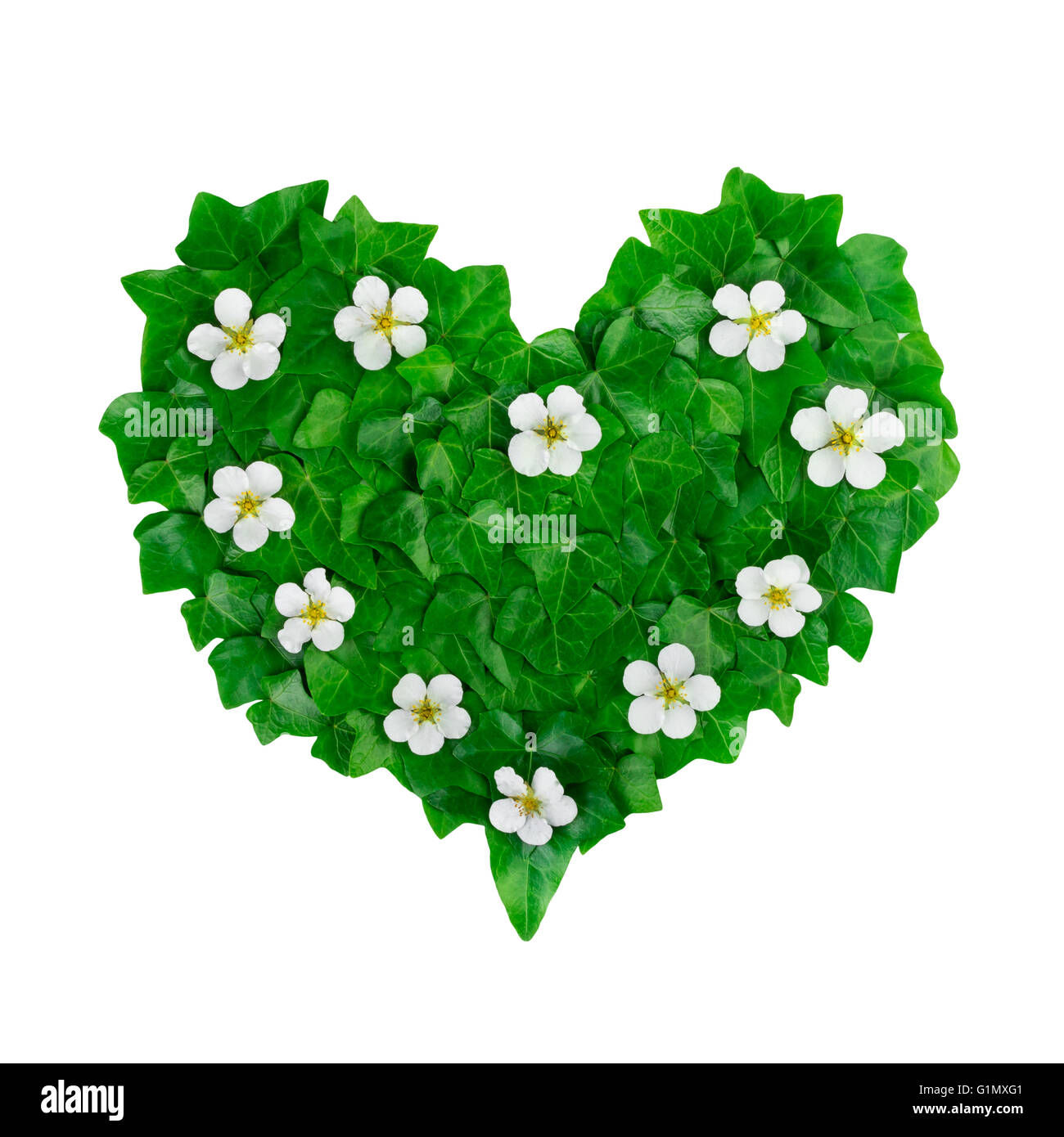 Wallpaper #Tmd395IBSpphPi3-tobx62 Green Heart Pattern Made of Ivy Leaves and White Flowers Creative
