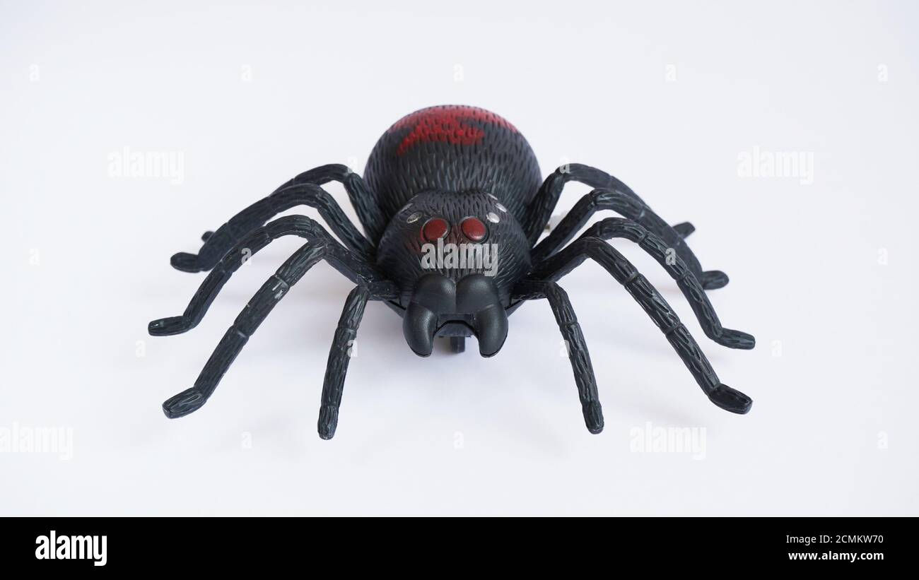 Wallpaper #HfQqOpMBKFX8bn3rhHgw41 Black Clockwork Plastic Toy Spider on a White Background Close Up