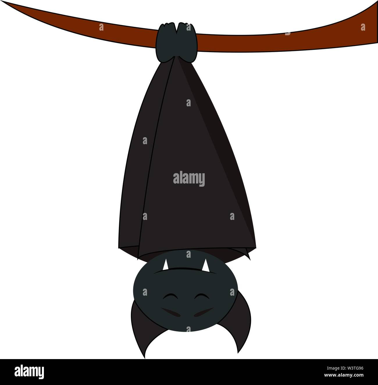 Wallpaper #2mdTDJMBSpphPi3-nt1P361 Albums 100 Pictures Bats Hanging Upside Down Pictures Superb 092023