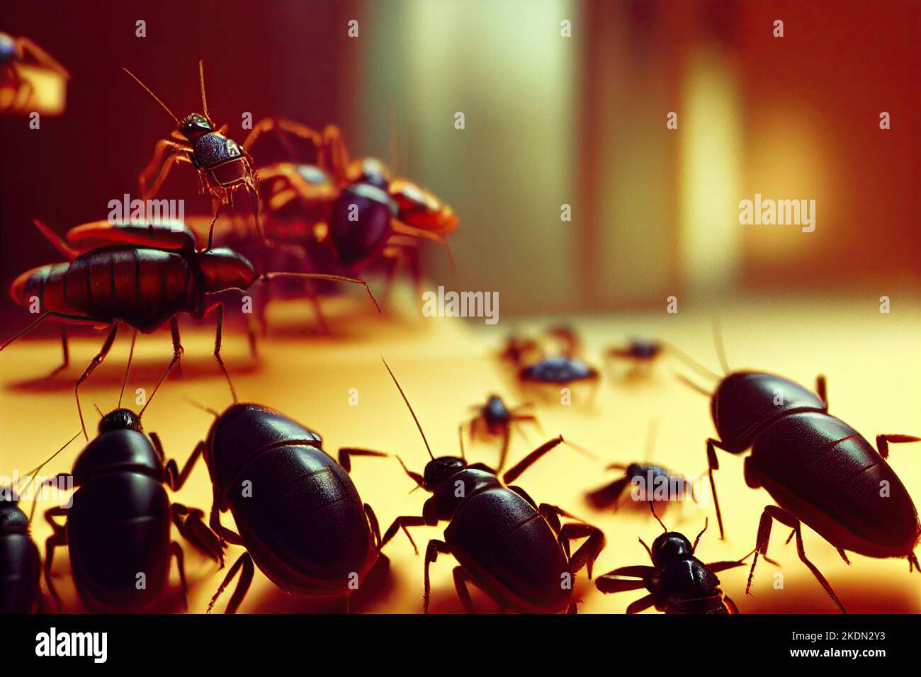 Wallpaper #SWdXCpMBSpphPi3-q9Qk359 Germanic Cockroach Hi Res Stock Photography and Images Alamy