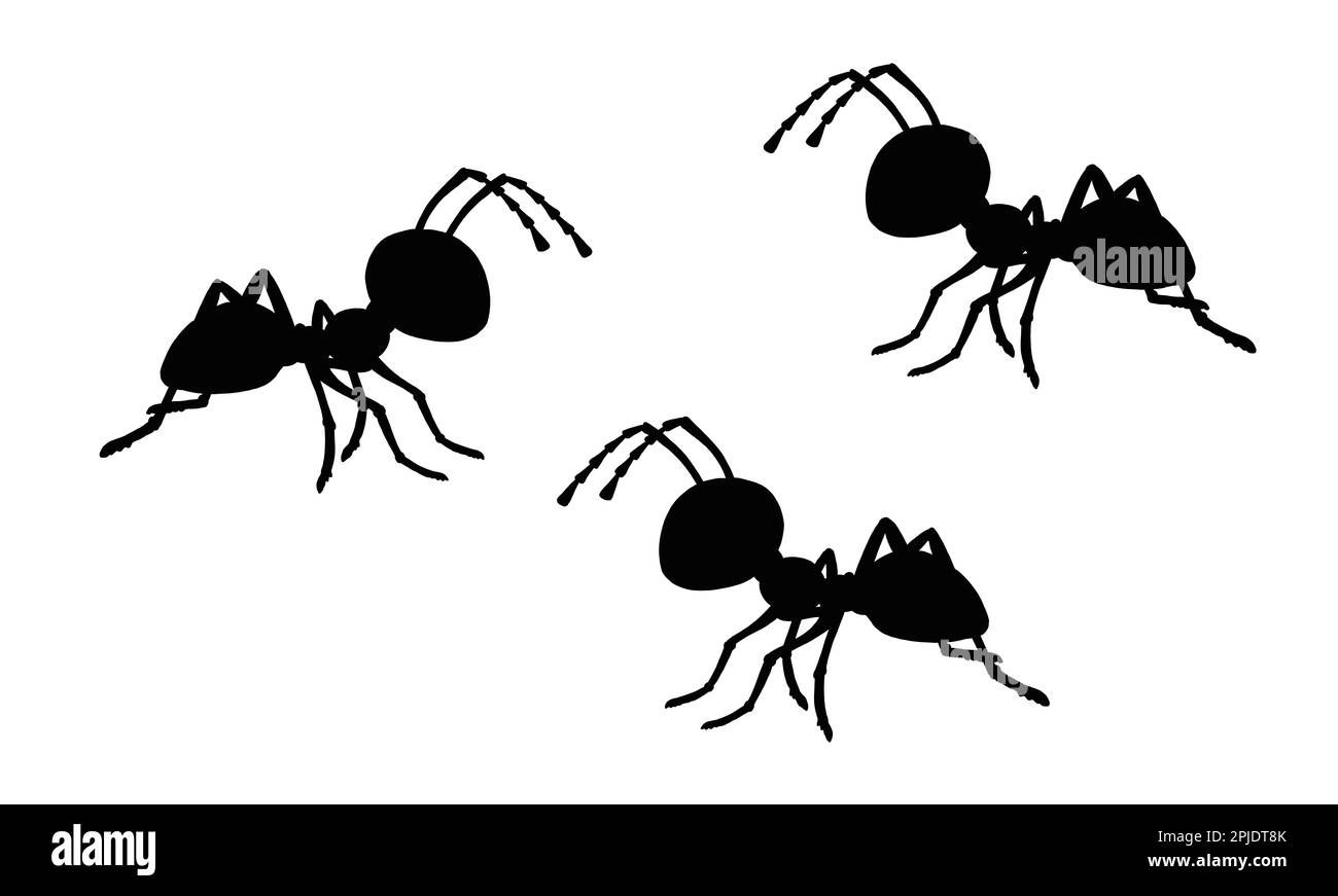 Wallpaper #9Sz7SZMB0E1QgA7wY_R527 Black Silhouette of Ant Colony Template with Funny Ants Template for