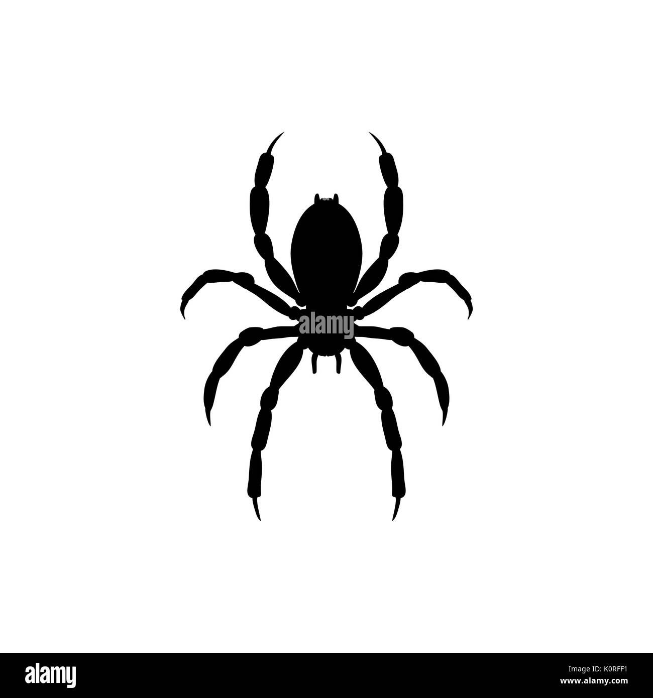 Wallpaper #71bf1 Pin by Kayleigh on Spider Drawings in 2024 Spiderman Drawing