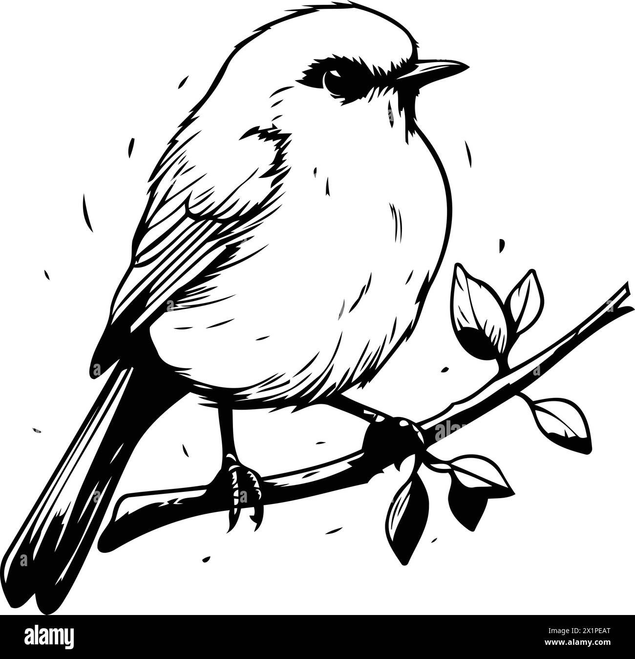 Wallpaper #mGeN_JIBSpphPi3-k5jI295 Vector Illustration of a Robin Bird Sitting on a Branch Hand Drawn