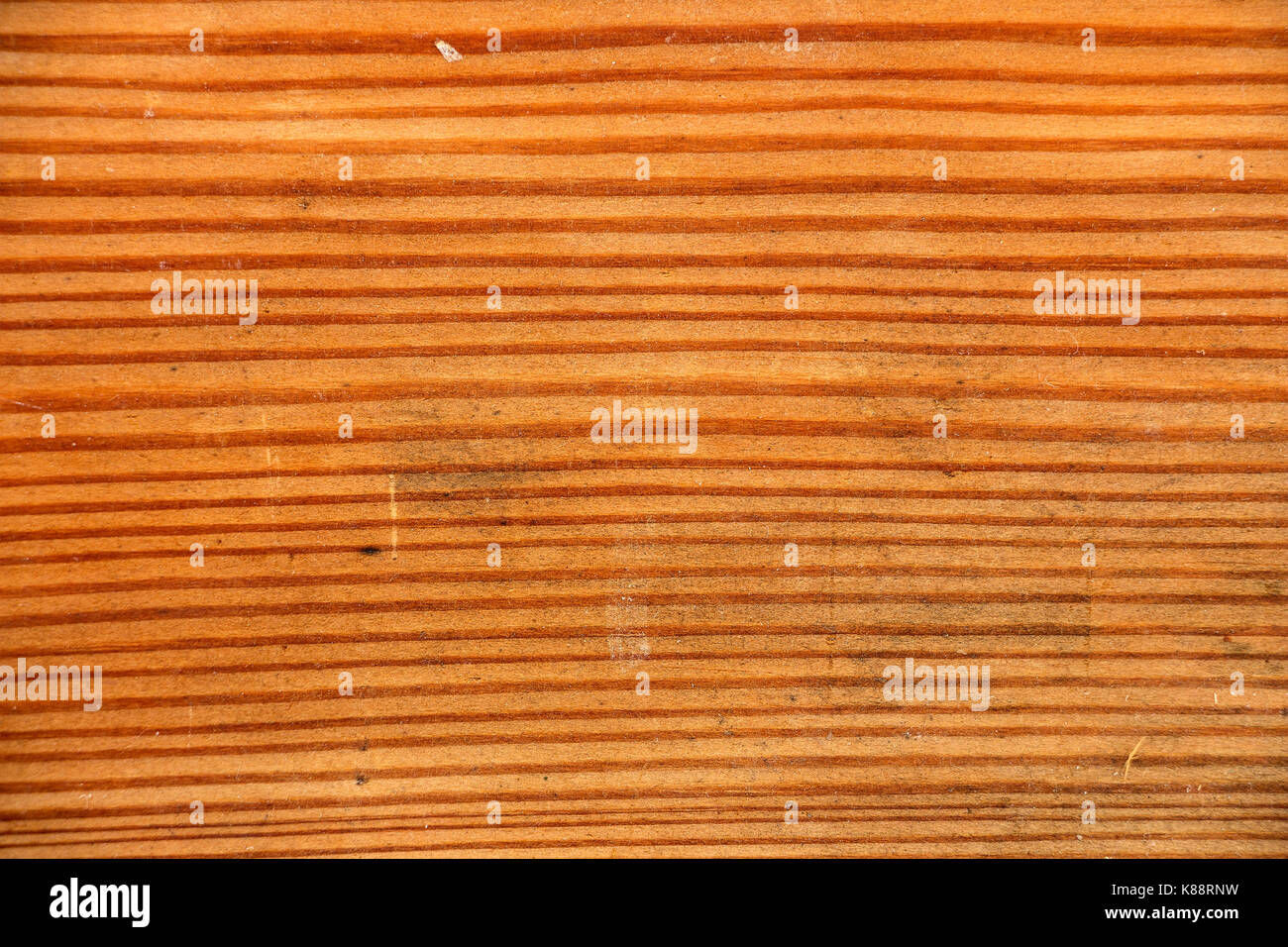 Wallpaper #BGdQC5MBSpphPi3-qtkV50 Abstract Pine Tree Texture Stock Photo Alamy