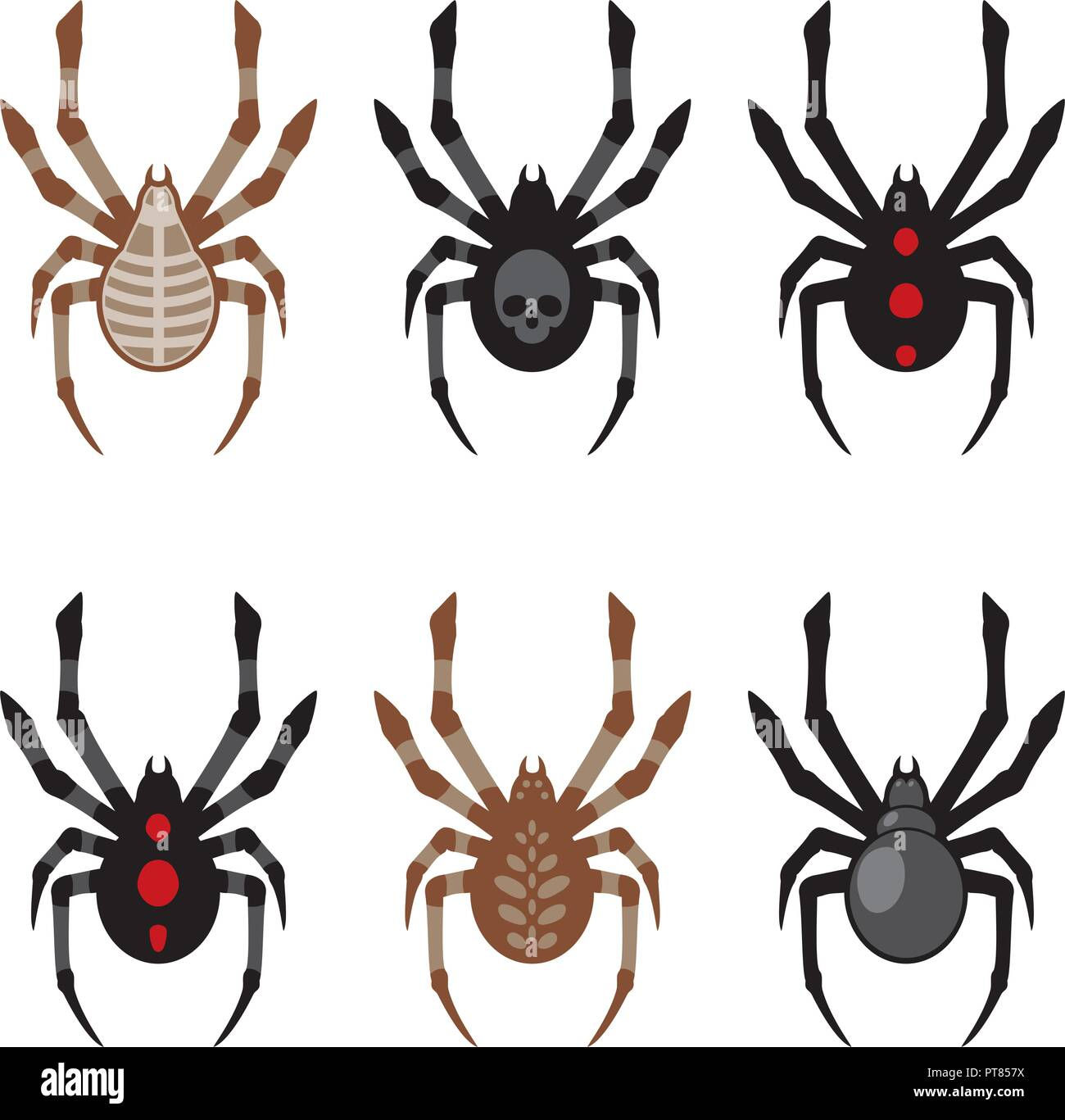 Wallpaper #9mdFCpMBSpphPi3-NNO089 Vector Set of Spider Icons Collection of Cartoon Spiders Isolated on