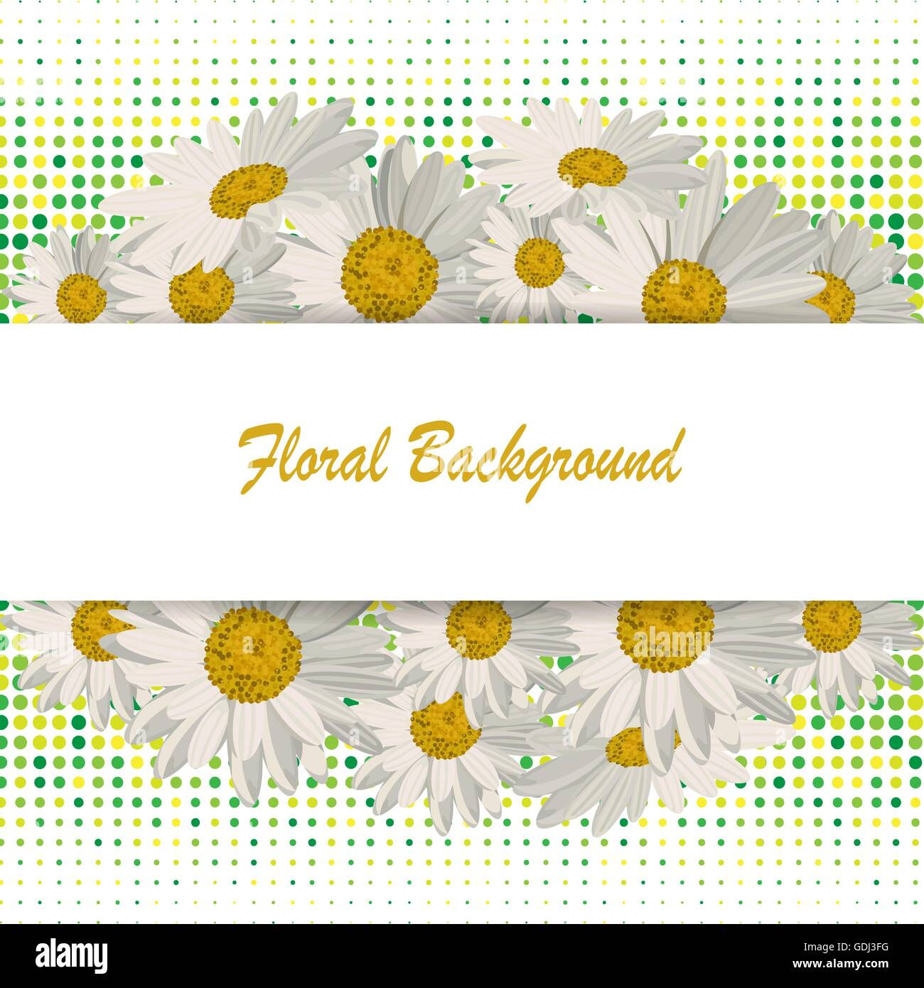 Wallpaper #3mhXIpMBSpphPi3-4TKc238 Beautiful White Daisies Stock Vector Image Art Alamy