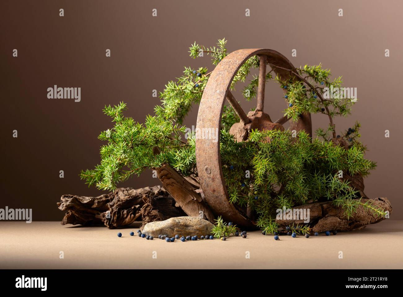 Wallpaper #9GjNGZMBSpphPi3-4hi166 Abstract Nature Scene with a Composition of Rusty Iron Wheel Juniper