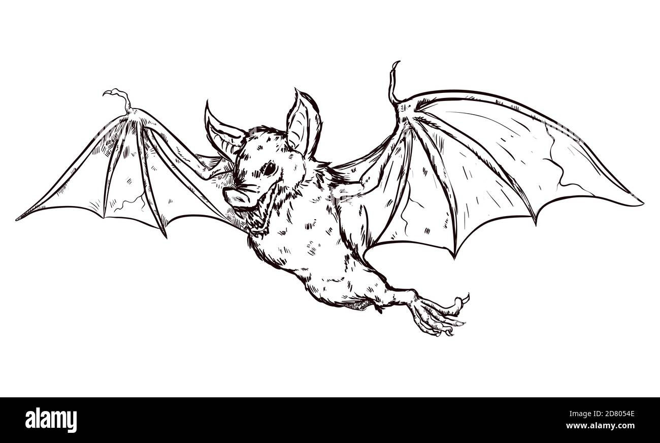 Wallpaper #r3KDMpMBX2lk1u3ogFrF95 Fierce and Terrifying Vampire Bat Flying in Hand Drawn Style Isolated