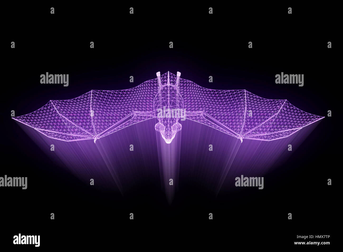 Wallpaper #S2cLE5MBSpphPi3-pP5k400 Giant Bat in Hologram Wireframe Style Nice 3D Rendering Stock Photo