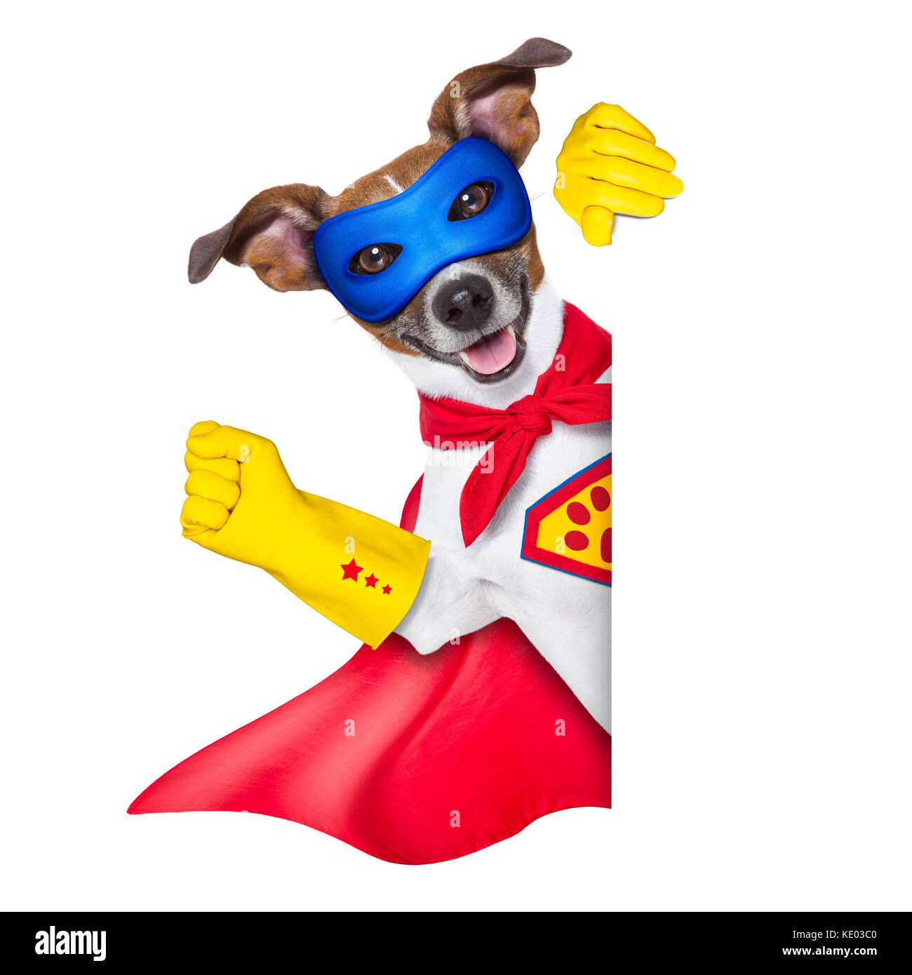 Wallpaper #YWfCDJMBSpphPi3-L-BK267 Super Hero Dog with Red Cape and a Blue Mask Beside a Blank Banner