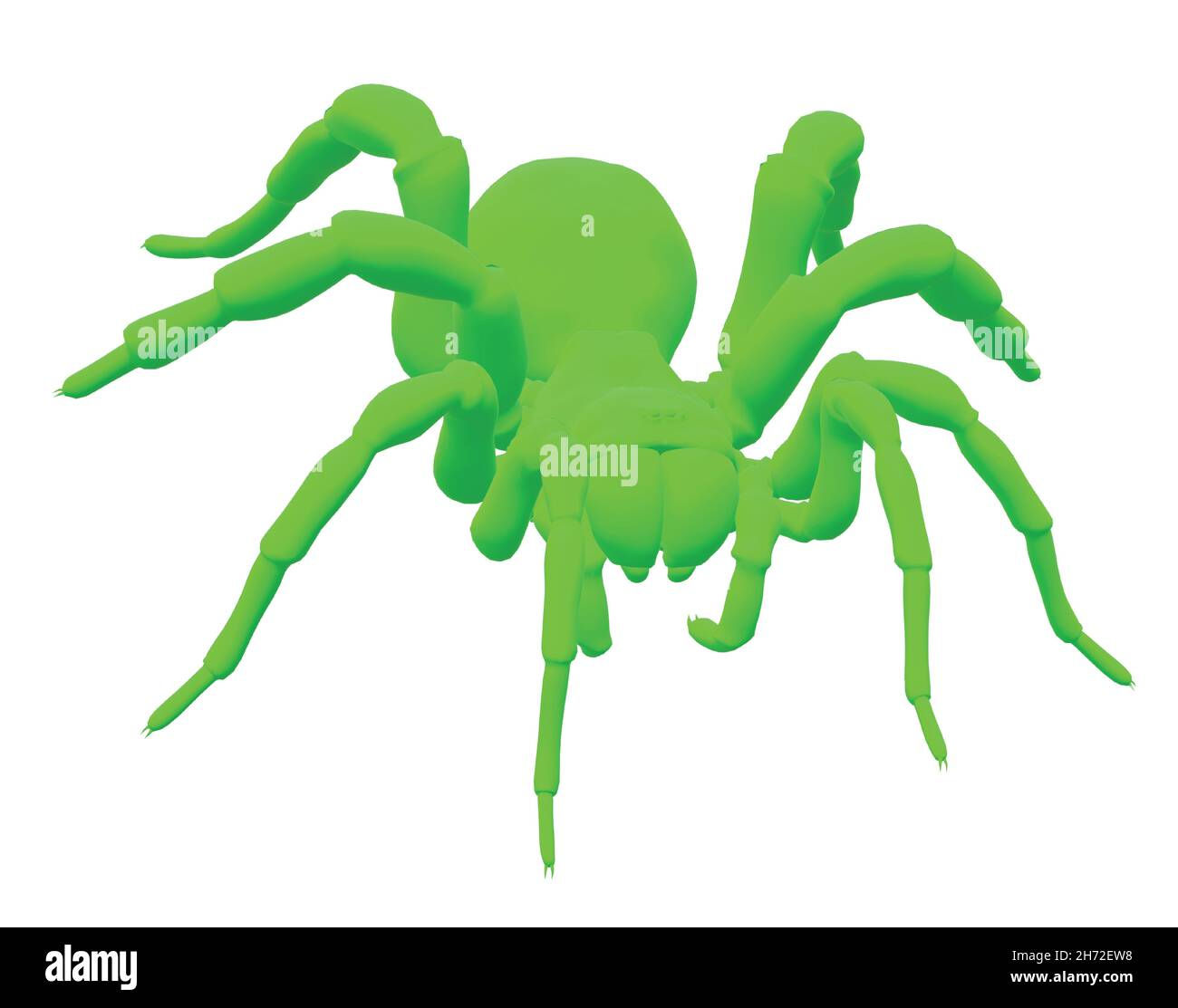 Wallpaper #MmhtGpMBSpphPi3-Uxyl332 Solid Neon Green Colored Spider Arachnid Decoration Stock Vector Image