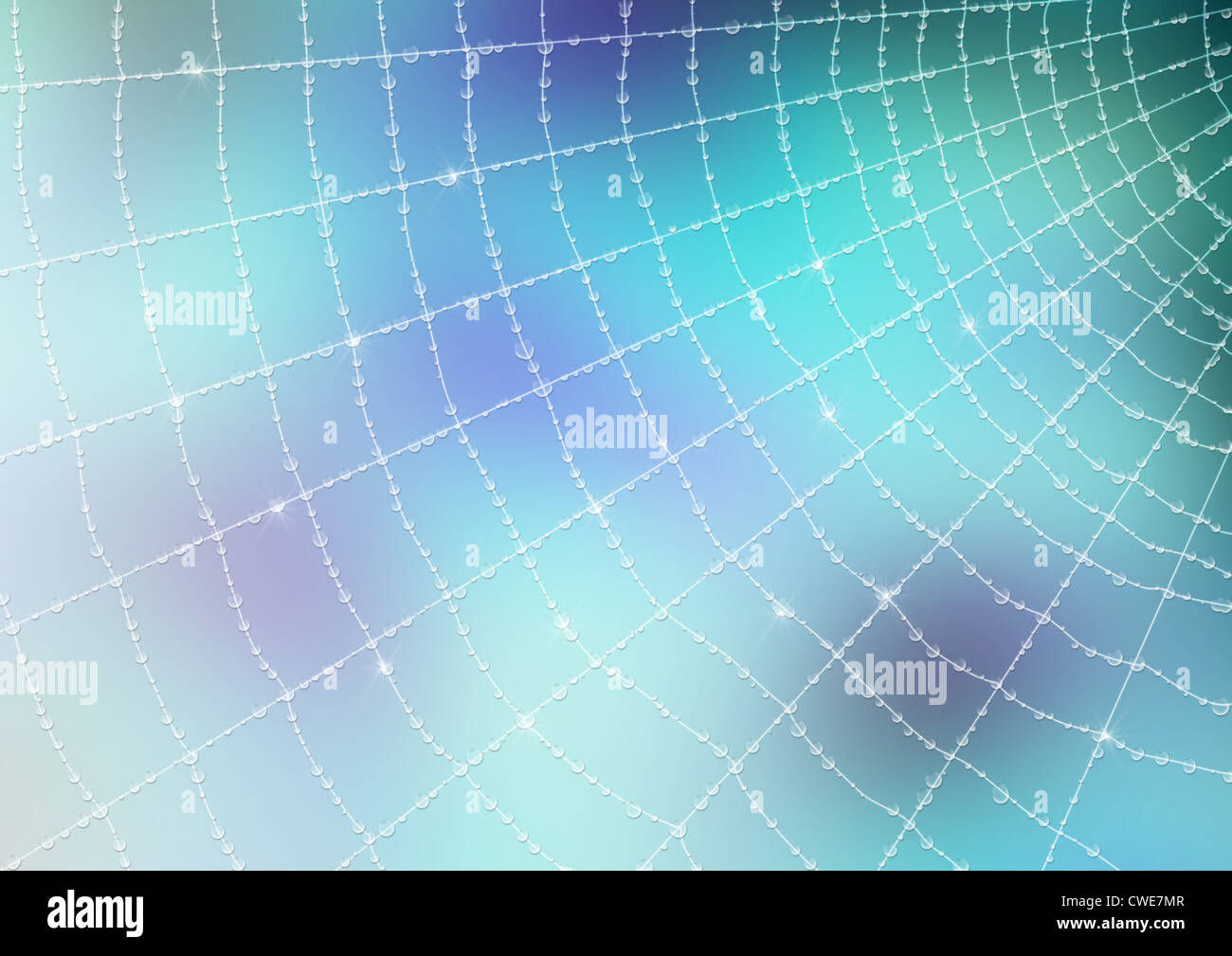 Wallpaper #MmhtGpMBSpphPi3-Uxyl334 Spider Web with Colored Background Stock Photo Alamy