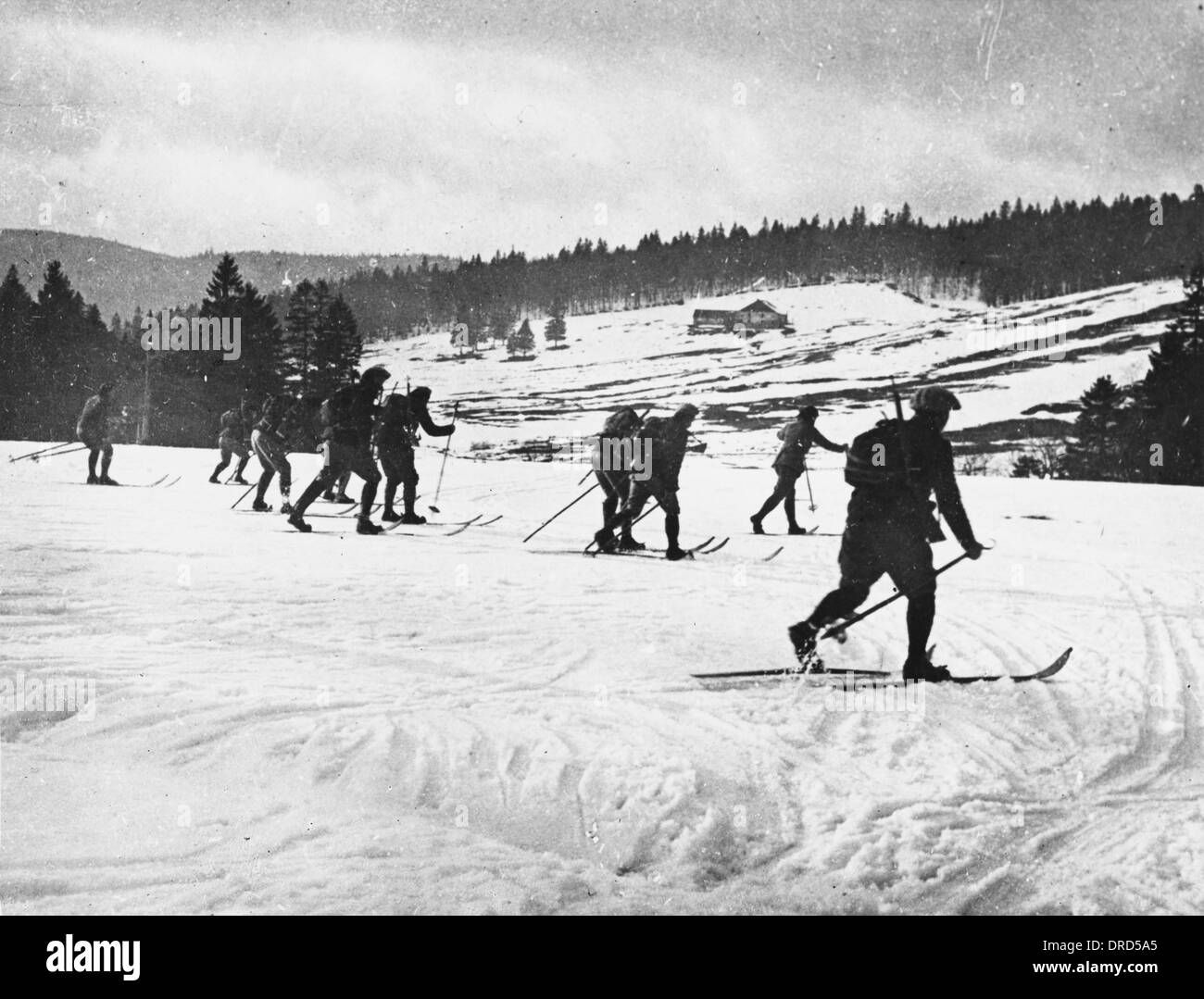 Wallpaper #_F7fMpMBborbLbczHl-2184 Alpine Troops Hi Res Stock Photography and Images Alamy