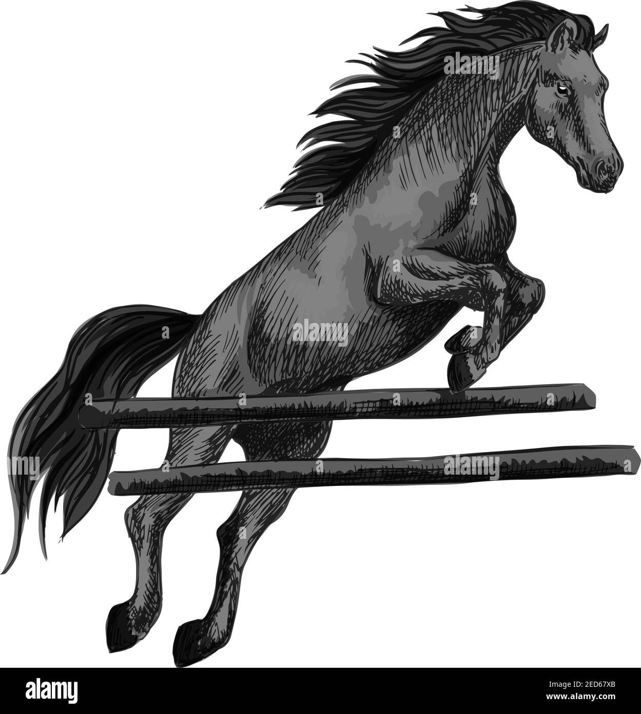 Wallpaper #-2cU-ZIBSpphPi3-KovY159 Black Mustang Horse Rearing