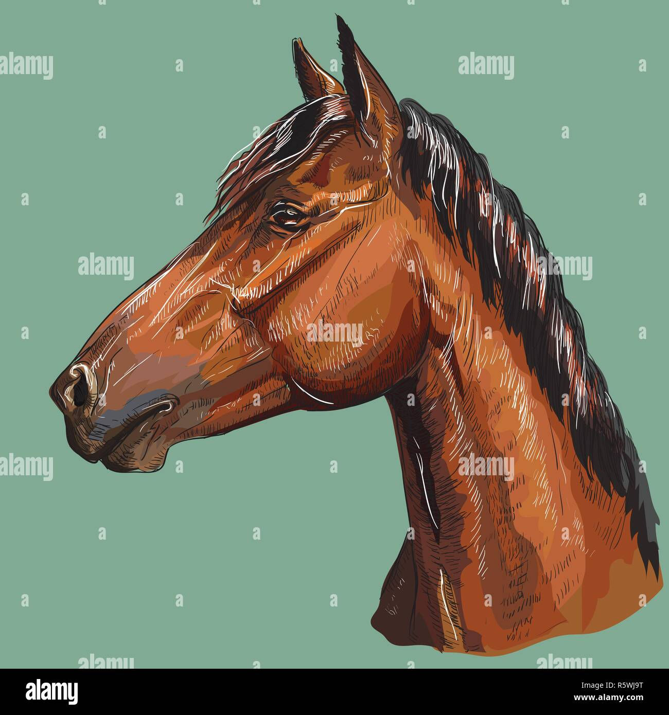 Wallpaper #P2evCJMBSpphPi3-oczY164 Cool Horse Face Backgrounds
