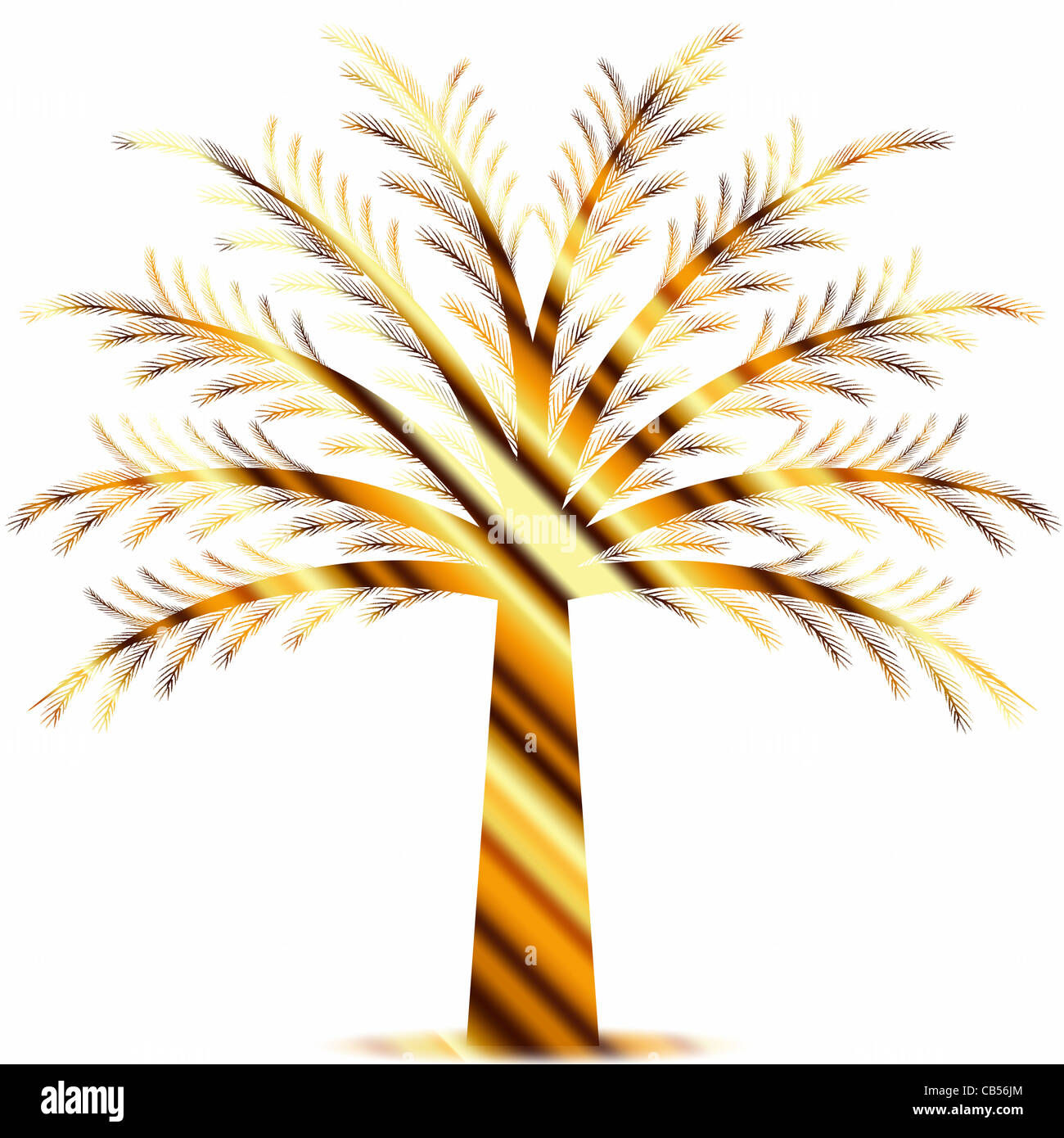Wallpaper #BGdQC5MBSpphPi3-qtkV76 Abstract Pine Tree Isolated on White Background Stock Photo Alamy