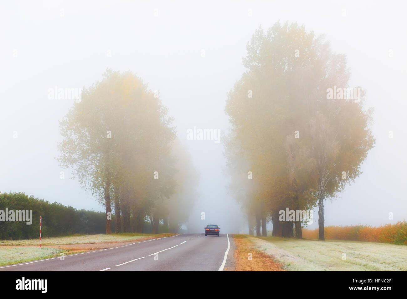 Wallpaper #rWgUHJMBSpphPi3-8SFd237 Car on Foggy Road in Cold Autumn Morning Stock Photo Alamy