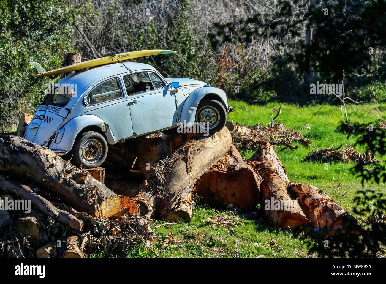 Wallpaper #0mfp9JIBSpphPi3-1nyV384 White Volkswagen Beetle with Surfboard on Top on Logs in a Field