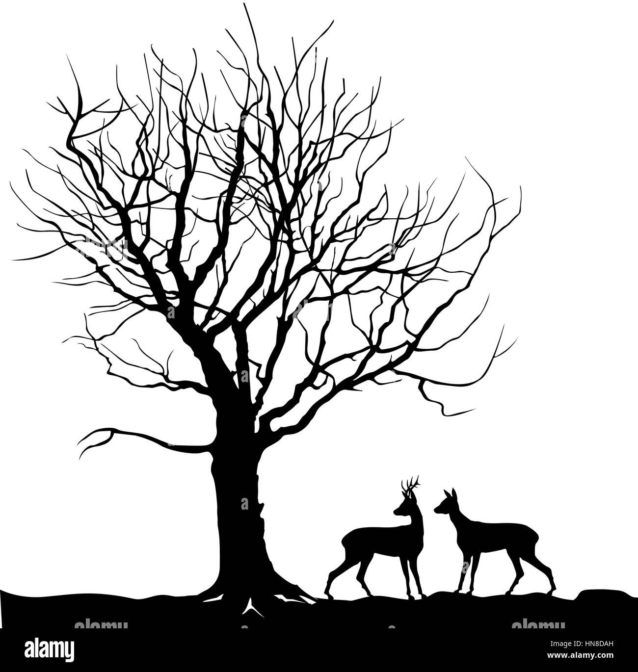 Wallpaper #BWgvFZMBSpphPi3-Zwec241 Beautiful Forest Scenery Drawing with Animals in This Video I Have