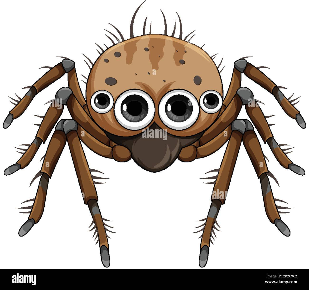 Wallpaper 46455 Brown Spider Cartoon Isolated Illustration Stock Vector Image Art Alamy HD Wallpaper 46455