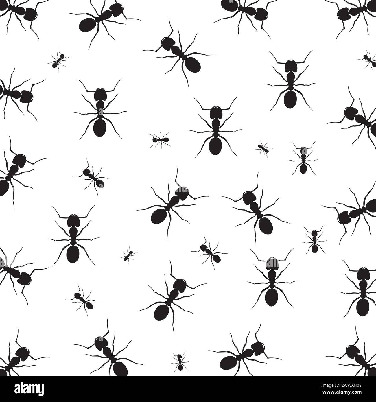 Wallpaper #9Sz7SZMB0E1QgA7wY_R5217 Anthill Ant Stock Vector Images Alamy