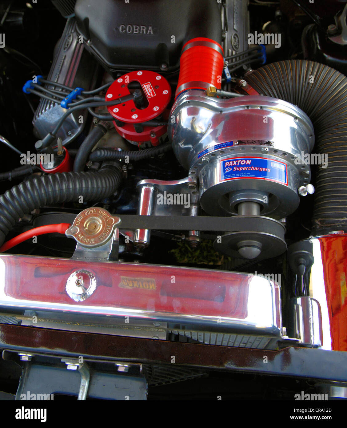 Wallpaper #AGdRA5MBSpphPi3-tLOH9 Ac Cobra Engine Fitted with Chrome Paxton Supercharger Stock Photo Alamy