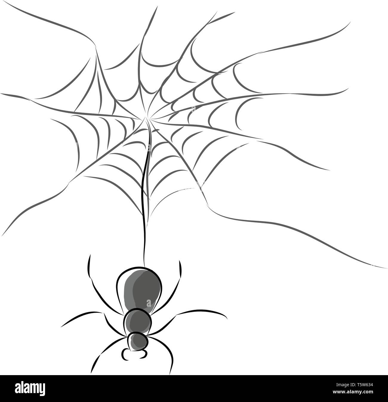 Wallpaper #MmhtGpMBSpphPi3-Uxyl354 Huge Spider Stock Vector Images Alamy