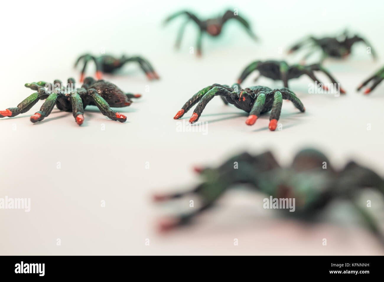 Wallpaper #HfQqOpMBKFX8bn3rhHgw91 Many Toy Plastic Spiders on White Backdrop Stock Photo Alamy