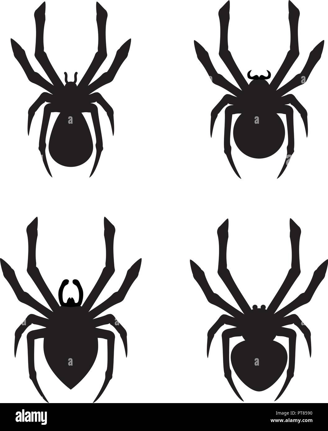 Wallpaper #R-_VS5MBMN-XEVvVKTxd244 Long Leg Spiders Stock Vector Images Alamy