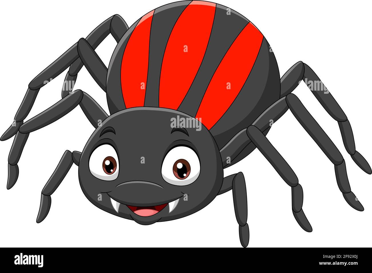 Wallpaper #R-_VS5MBMN-XEVvVKTxd23 Baby Black Widow Hi Res Stock Photography and Images Alamy