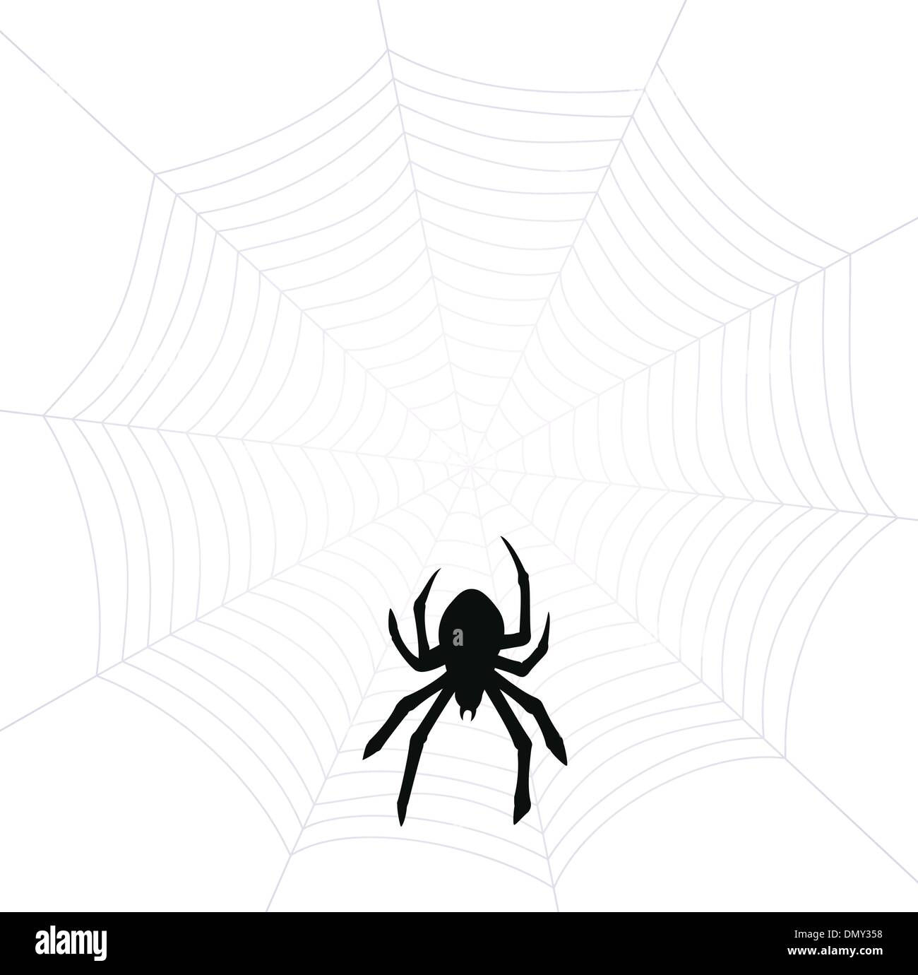 Wallpaper #52dP85IBSpphPi3-BnRA39 Vector Spider and Web Stock Vector Image Art Alamy