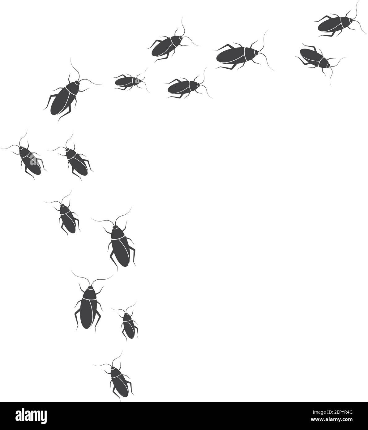 Wallpaper #SWdXCpMBSpphPi3-q9Qk340 Cockroaches Vector Icon Illustration Design Template Stock Vector Image