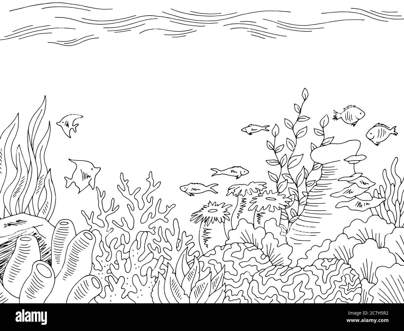 Wallpaper #1mc1CJMBSpphPi3-Ccl7285 Underwater Under the Sea Clipart Black and White 281971