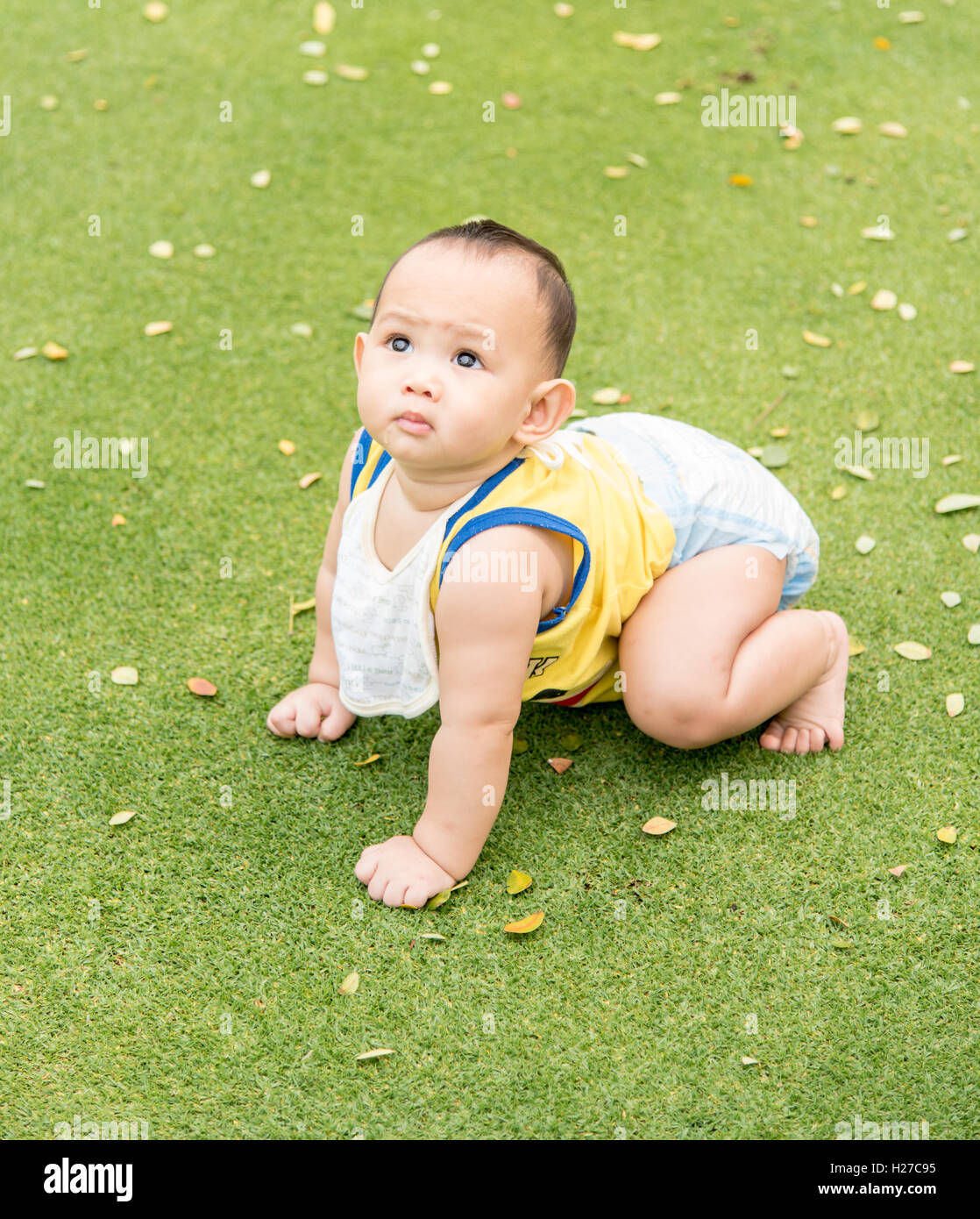 Wallpaper #9mdFCpMBSpphPi3-NNO0397 Little Boy Sitting in Grass Hi Res Stock Photography and Images Alamy