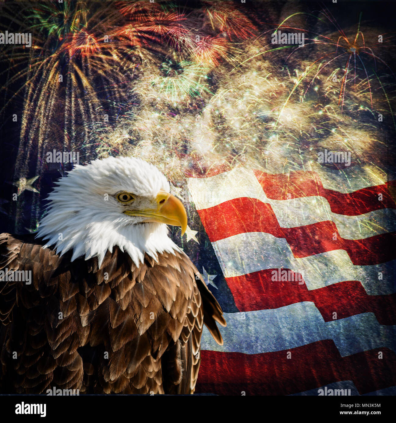 Wallpaper #6ef95 11209 Gier Eagle Images Stock Photos Vectors Shutterstock