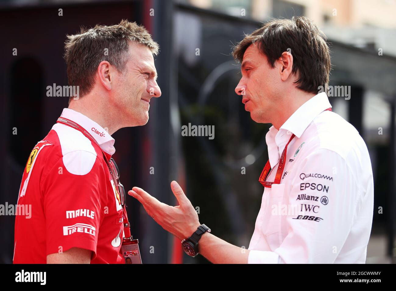 Wallpaper #HGfK9ZIBSpphPi3-VYFg220 Ferrari Chassis Technical Director Toto Wolff Hi Res Stock Photography