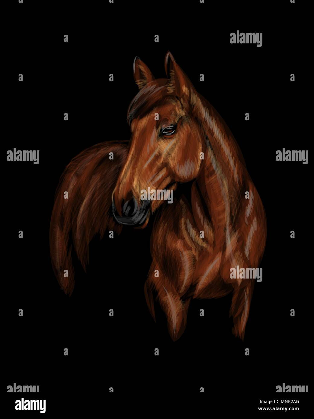 Wallpaper #bWfaEpMBSpphPi3-4_0h356 White Horse on Black Background Stock Photos White Horse on Black