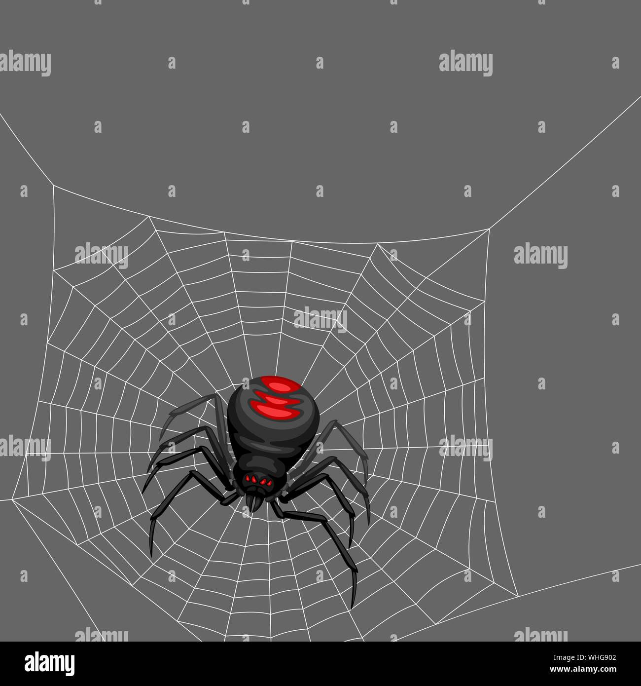 Wallpaper #5vQUOpMBKFX8bn3rPHdj309 Background with Black Widow Spider Stock Vector Image Art Alamy