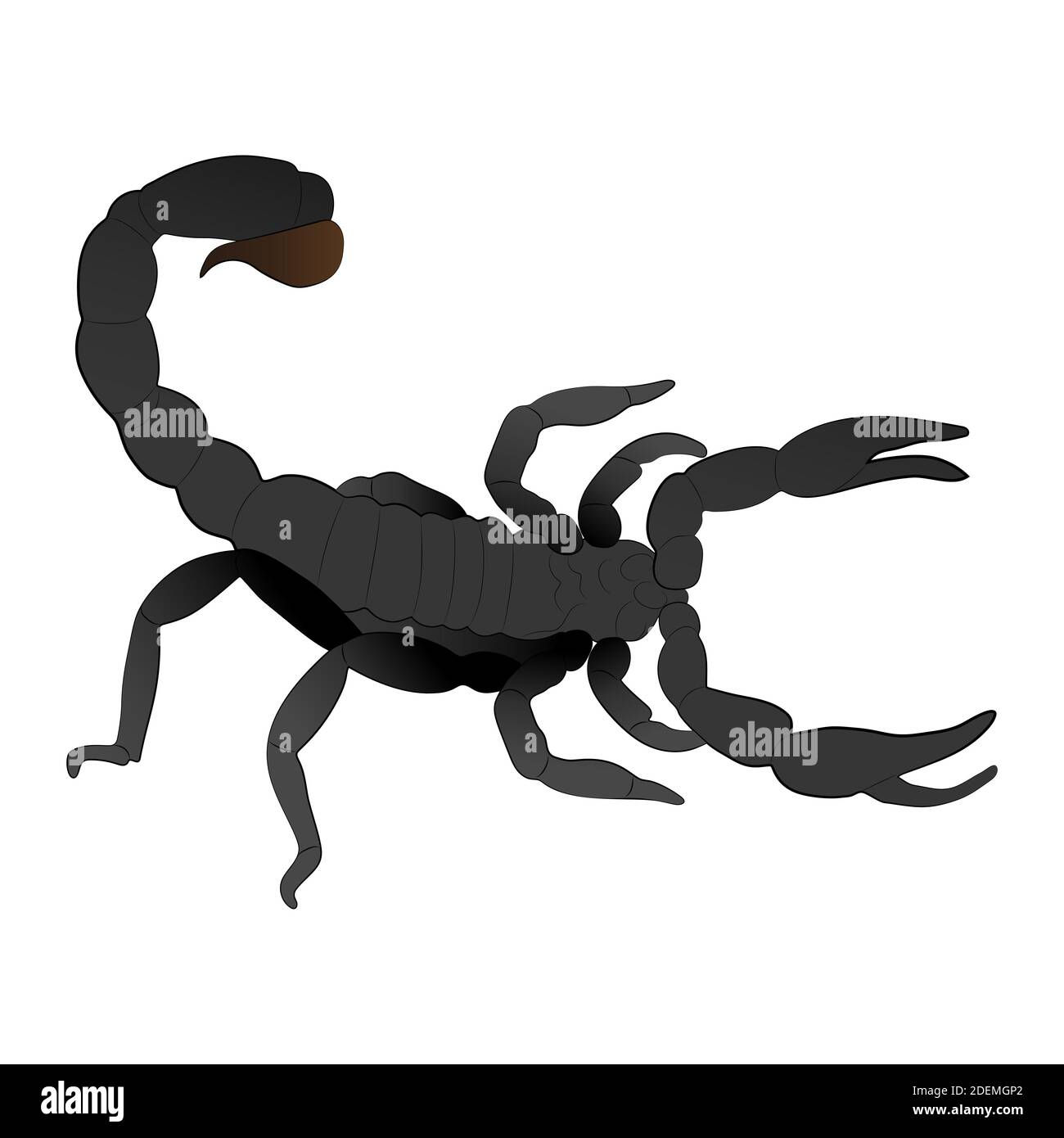 Wallpaper #YPQzOZMBKFX8bn3rnnbQ234 Venomous Sting Stock Vector Images Alamy