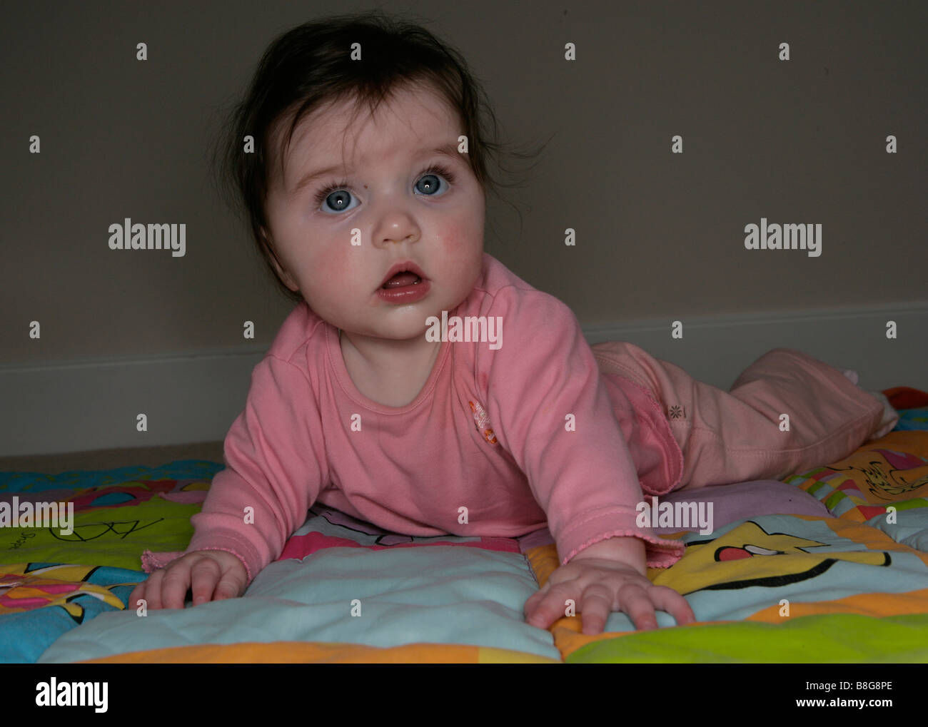 Wallpaper #vmczCZMBSpphPi3-o86c239 A Baby Girl Learning to Crawl Stock Photo Alamy