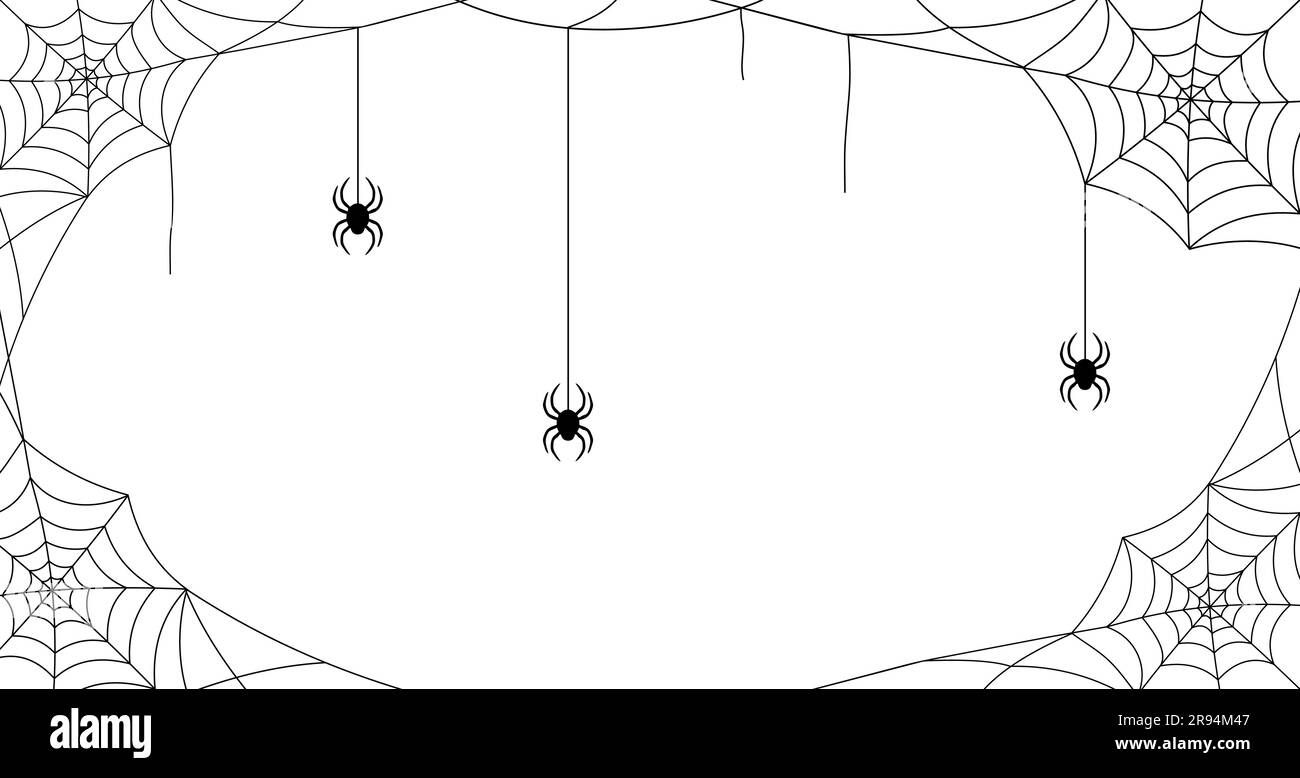 Wallpaper #V4v_dpcBcm9NJah-YnkY97 Spider Web Page Border