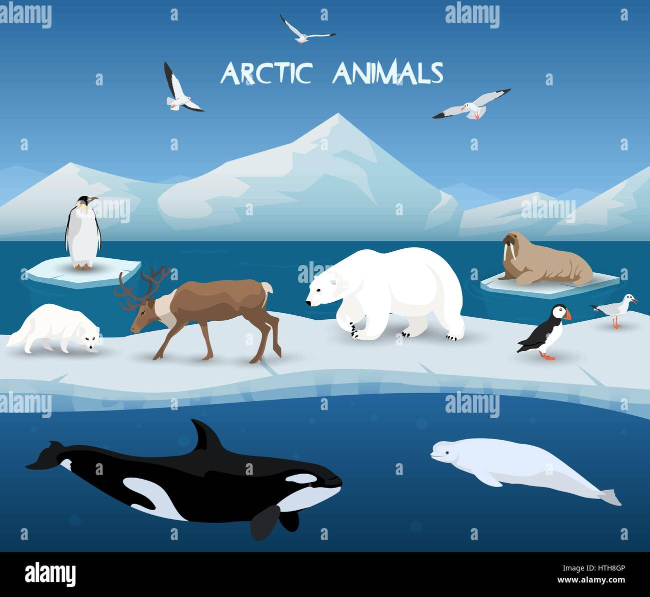Wallpaper #33dqJpMB-pgBXx60GaEs340 Arctic Animals Character and Background Winter Nature Travel and