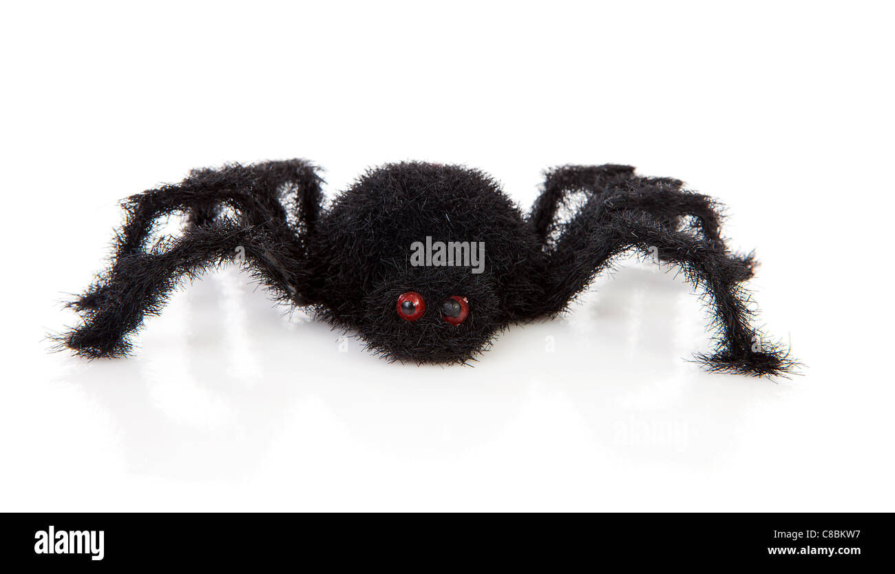 Wallpaper #HfQqOpMBKFX8bn3rhHgw315 Fake Tarantula Cut Out Stock Images Pictures Alamy