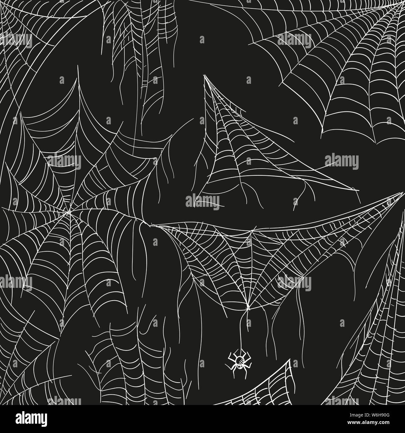 Wallpaper #52dP85IBSpphPi3-BnRA169 Cobweb Set on Black Tangled Spider White Web for Catching Insects in