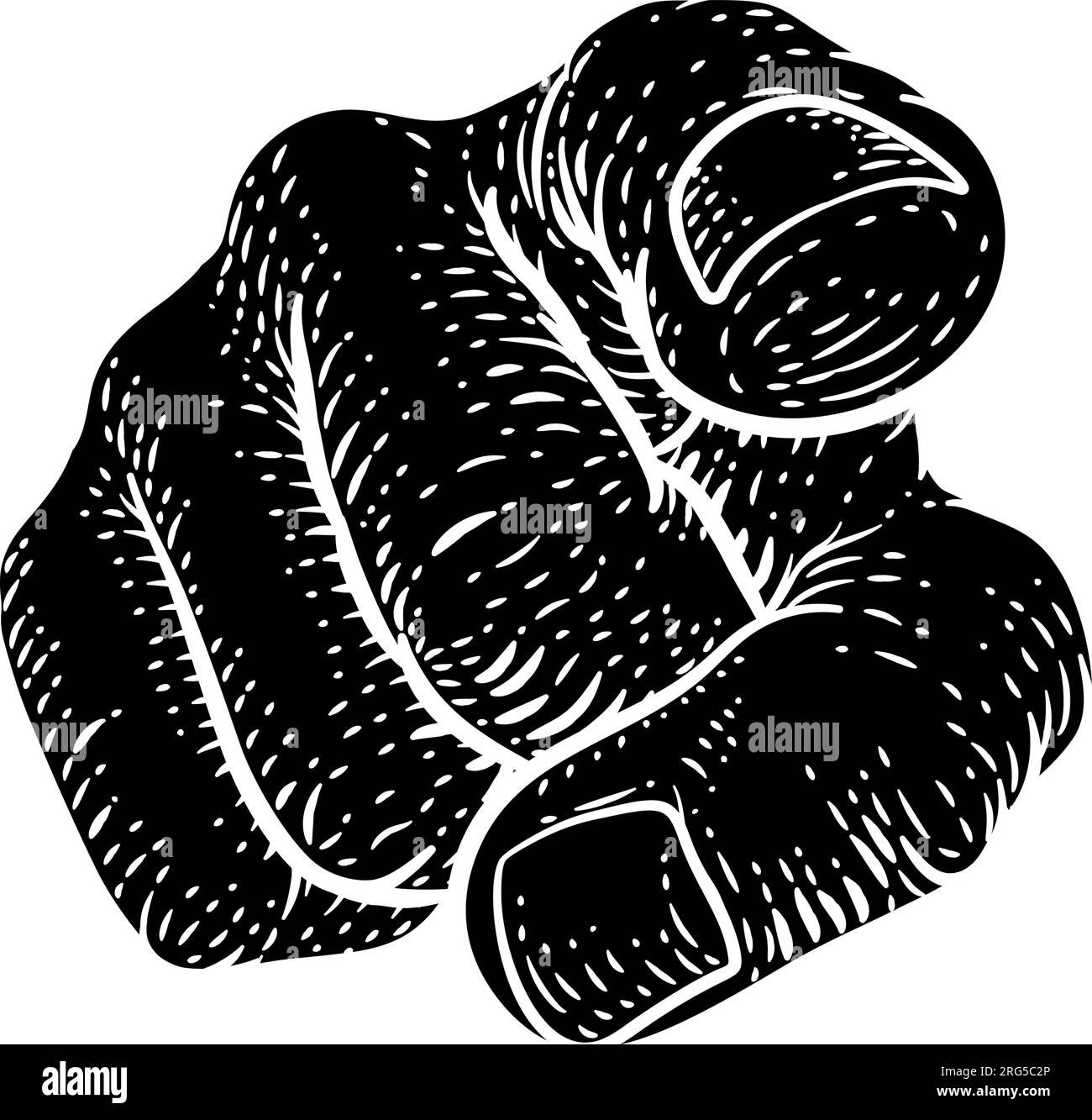Wallpaper #ImfQBpMBSpphPi3-4cMa337 Sam Right Stock Vector Images Alamy