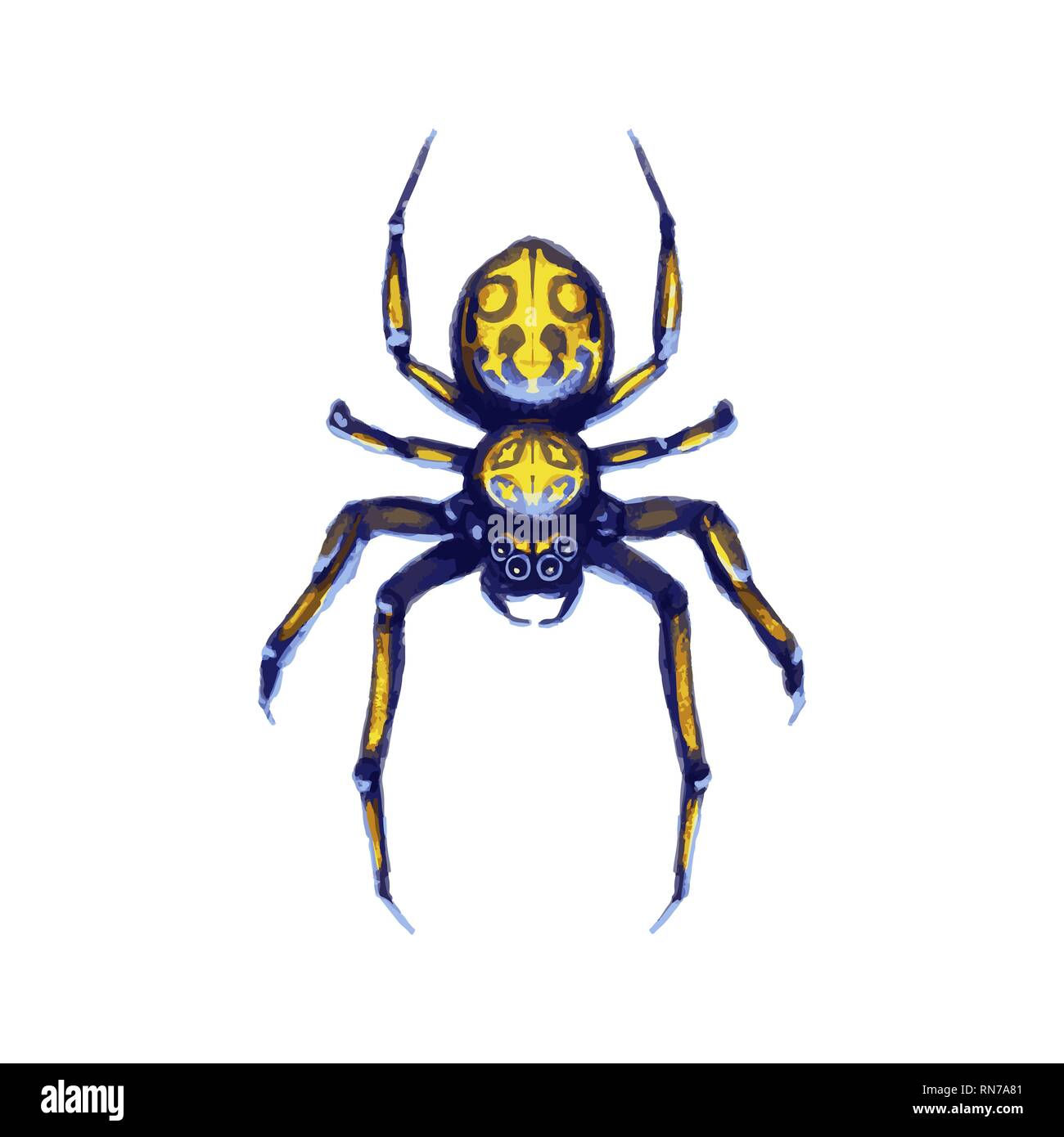Wallpaper #HxkOE48BtGB6xQ78w2Wm19 Spider Cartoon Hi Res Stock Photography and Images Alamy
