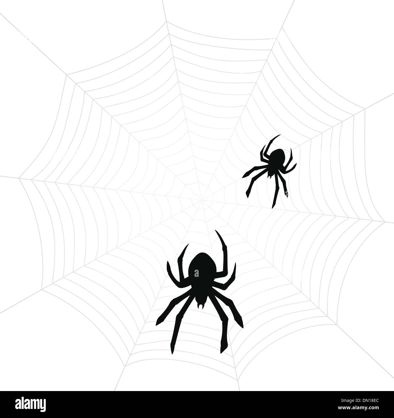Wallpaper #52dP85IBSpphPi3-BnRA108 Vector Spiders and Web Stock Vector Image Art Alamy