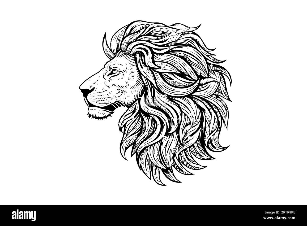 Wallpaper #fULzPJMBOBpx0NhmUcKW331 Black and White Lion Head Side View