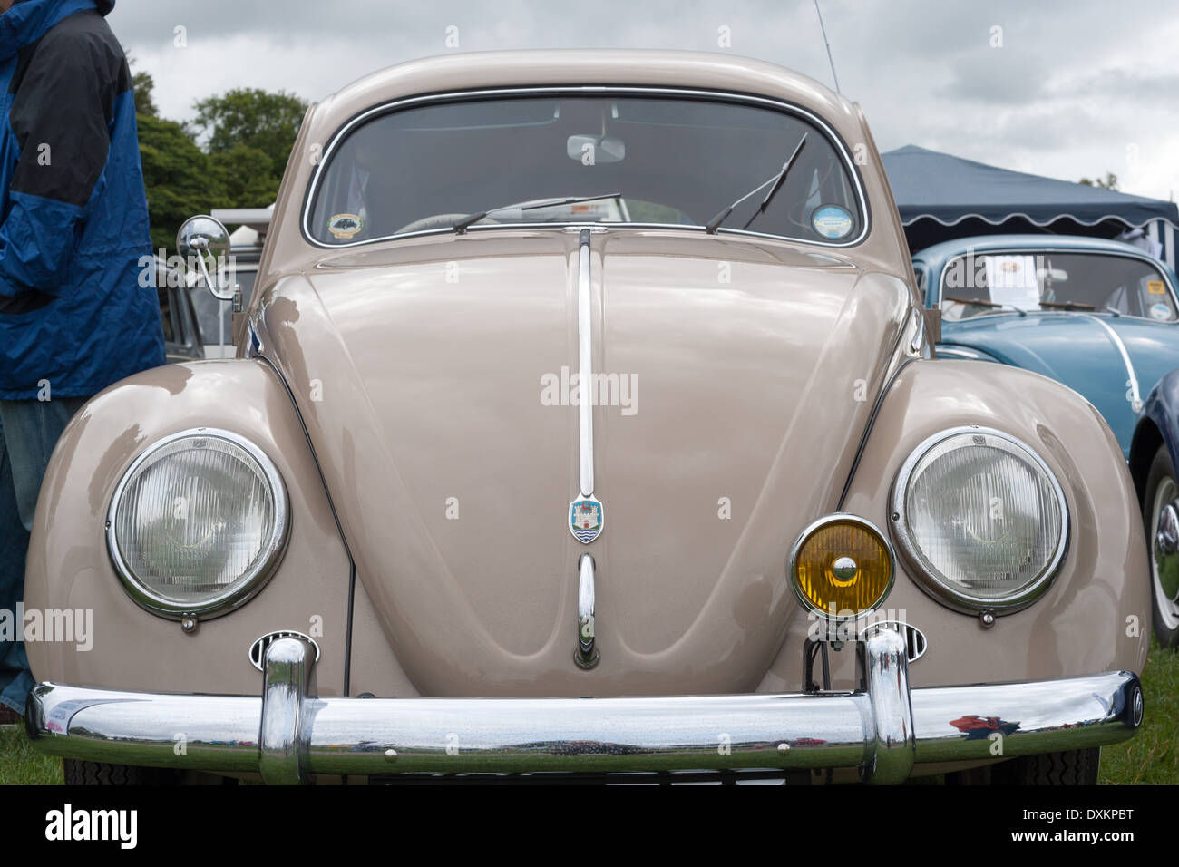 Wallpaper #SCzLSZMB0E1QgA7wqPTc28 Classic Volkswagen Beetle Front View Stock Photo Alamy