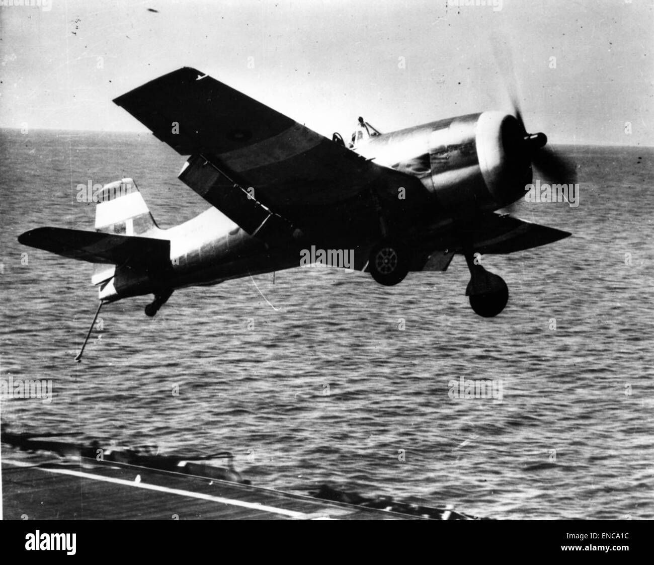 Wallpaper #xWe5EpMBSpphPi3-Avy191 Grumman F6f 5 Grumman Hellcat Ii Fleet Air Arm Stock Photo Alamy